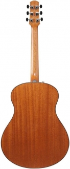 Ibanez AAM50 Akustik Gitar