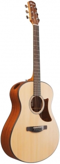 Ibanez AAM50 Akustik Gitar