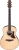 Ibanez AAM50 Akustik Gitar