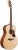 Ibanez AAM50 Akustik Gitar