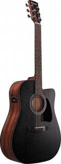 Ibanez AW247CE Elektro Akustik Gitar