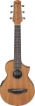 Ibanez EWP12EWB resim