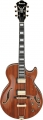 Ibanez AG95K resim