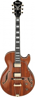 Ibanez AG95K Elektro Gitar