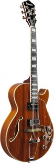 Ibanez AG95K Elektro Gitar
