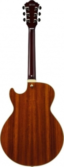 Ibanez AG95K Elektro Gitar