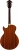 Ibanez AG95K Elektro Gitar