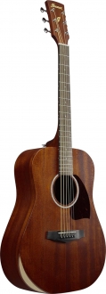 Ibanez PF14JR Akustik Gitar