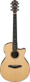 Ibanez AEG200-LGS resim