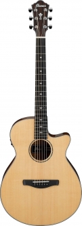 Ibanez AEG200-LGS Elektro Akustik Gitar