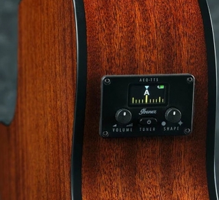 Ibanez AEG200-LGS Elektro Akustik Gitar