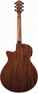 Ibanez AEG200-LGS Elektro Akustik Gitar