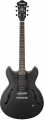 Ibanez AS53 resim