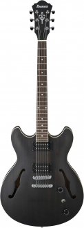 Ibanez AS53 Elektro Gitar