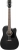Ibanez PF16MWCE Elektro Akustik Gitar