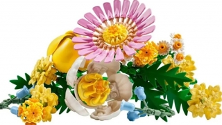 LEGO Botanicals 10347-9  Petite Sunny Bouquet