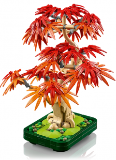 LEGO Botanicals 10348 Japanese Red Maple Bonsai Tree