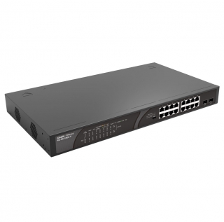 Ruijie RG-ES118GS-P Switch