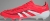 Adidas Predator Elite Unisex Spor Ayakkabı