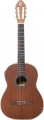 Strauss ST-25CE resim
