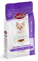 Catlife Tavuklu Multicolor Yetişkin 1 kg resim