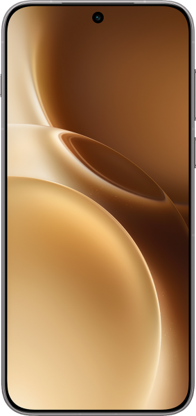 Vivo X300 Pro