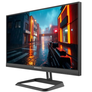 GameBooster GB-25F320FF Monitör