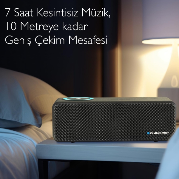 Blaupunkt LS250 Bluetooth Hoparlör