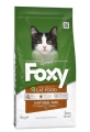 Foxy Natural Mix Tavuk Etli 2 kg resim