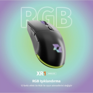 Section XR1 Wireless Mouse