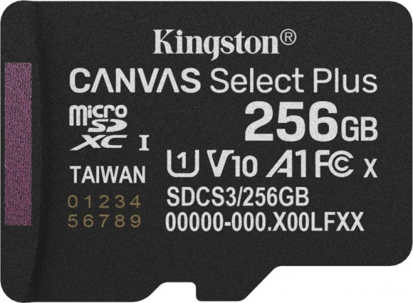 Kingston Canvas Select Plus microSD (256 GB)