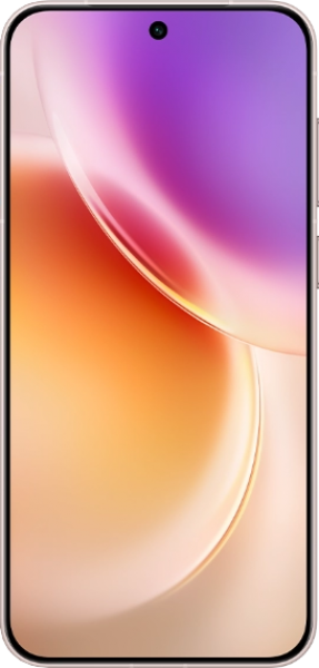 Vivo X300