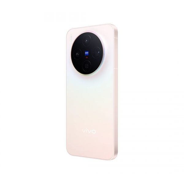 Vivo X300