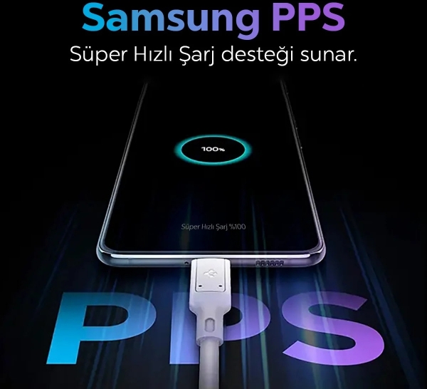 Spigen EA3020 20000 mAh Powerbank