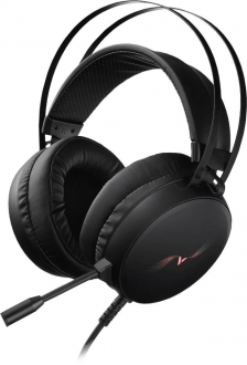 Rapoo VH310 Kablolu Kulaklık