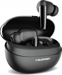 Blaupunkt B420 resim
