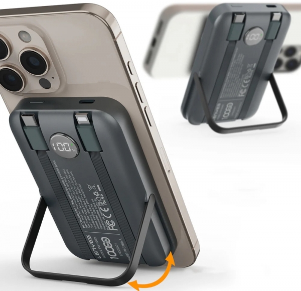 Lenyes PW1006D 10000 mAh Powerbank