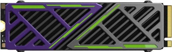 Hiksemi FutureX SSD (1 TB)