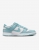 Nike Dunk Low Retro Erkek Spor Ayakkabı