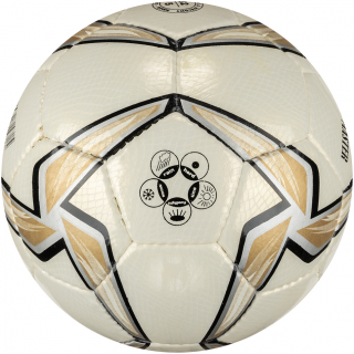 Delta Pro Master 5 Numara Futbol Topu