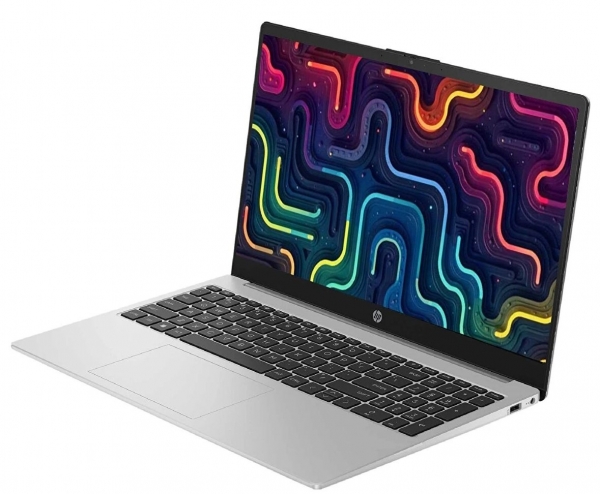 HP 255 G10 (3Z6G3ES006) Laptop