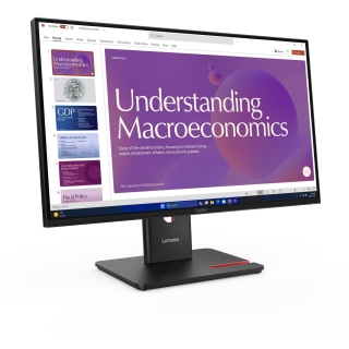 Lenovo ThinkVision T24D-40 Monitör