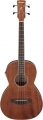 Ibanez PNB14E-OPN resim