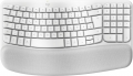 Logitech Wave Keys for Mac resim