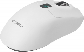 Claw's Rajin Strike Mouse