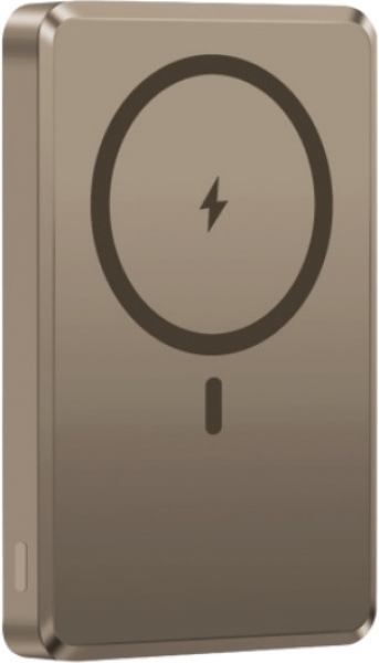 Piili Karbon P-PB5 10000 mAh Powerbank