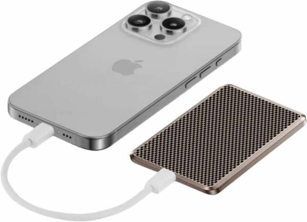 Piili Karbon P-PB5 10000 mAh Powerbank