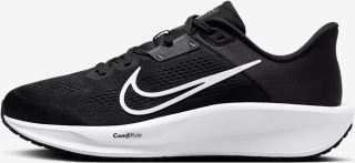 Nike Quest 6 Erkek Spor Ayakkabı