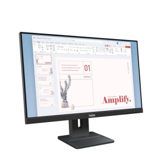 Lenovo ThinkVision E24-40 Monitör