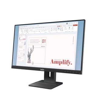 Lenovo ThinkVision E24-40 Monitör